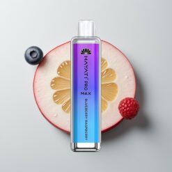 Borůvka Malina Hayati Pro Max 4000 Puffs Dobíjecí