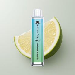 Svěží Mátový Mojito Hayati Pro Max 4000 Puffs Dual Coil