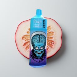 Borůvka Třešeň Brusinka RandM Fumot Tornado 9000 Puffs